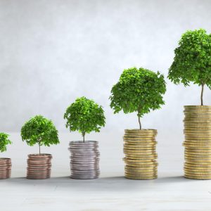 Più investimenti vuol dire più benessere?